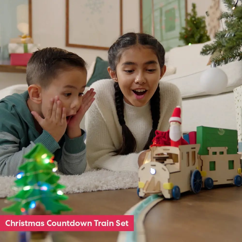 Advent Calendar Bundle (4-Pack)