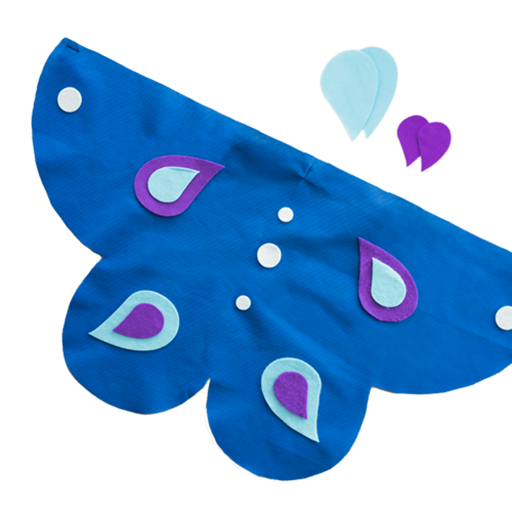 Butterfly Wings