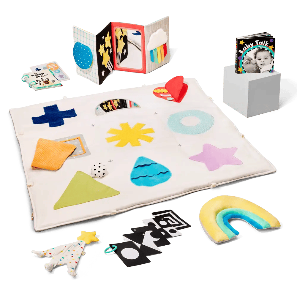0-2 Months Baby Registry: Panda Crate Deluxe Toys + Books