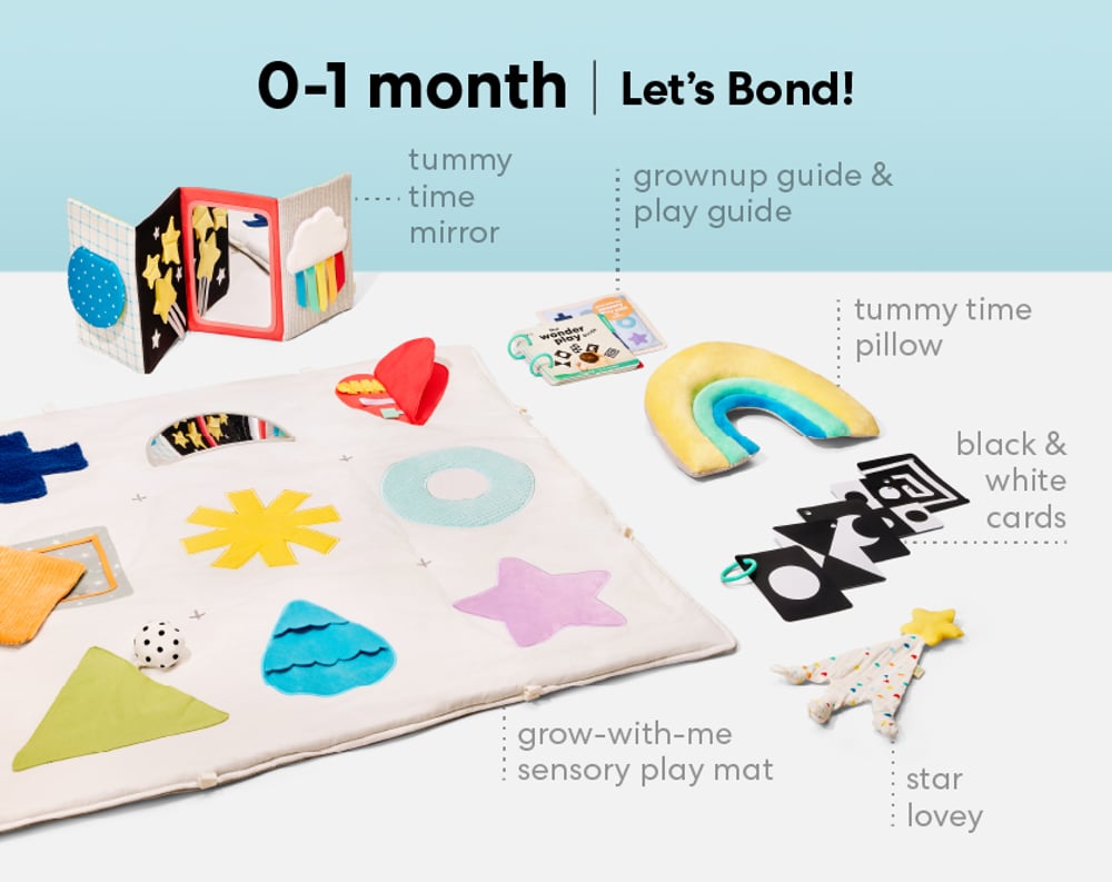 0-6 Months Baby Registry: Panda Crate Plus Toys