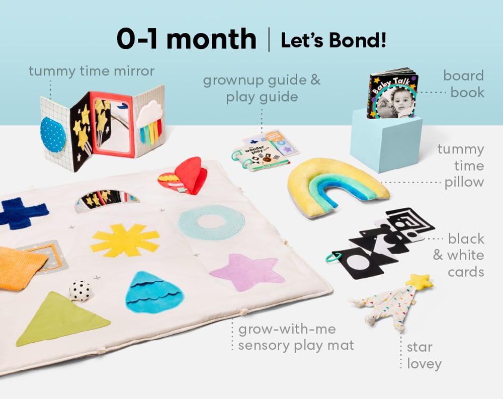 0-6 Months Baby Registry: Panda Crate Deluxe Toys + Books
