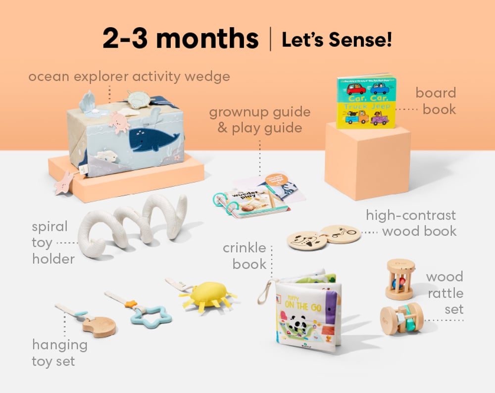 0-6 Months Baby Registry: Panda Crate Deluxe Toys + Books