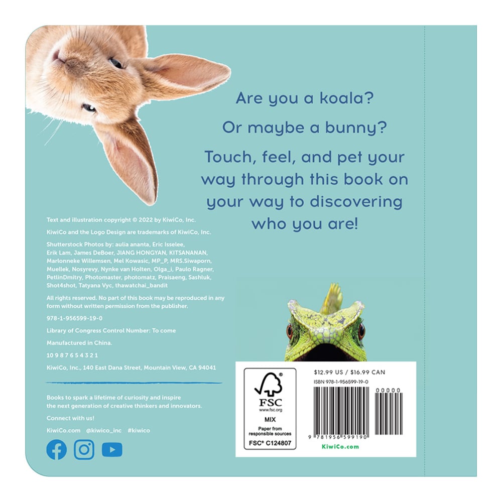 Are You A Koala?
