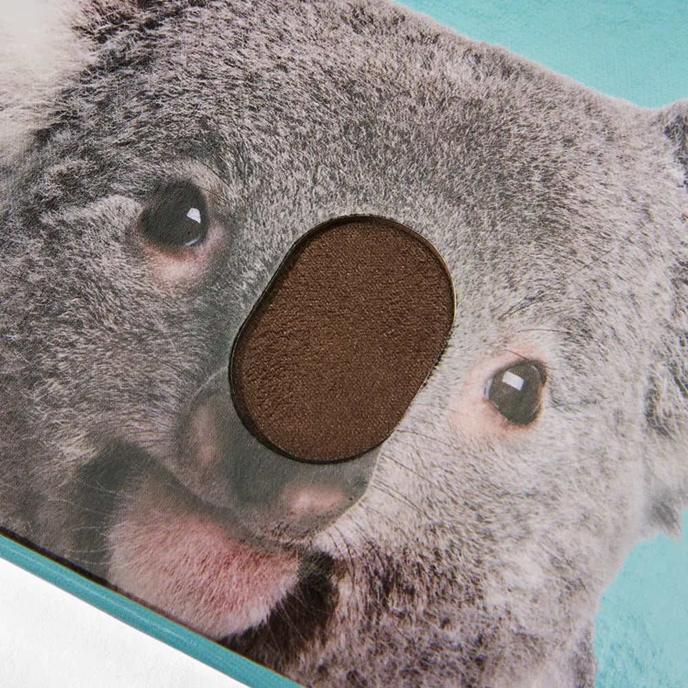 Are You A Koala?