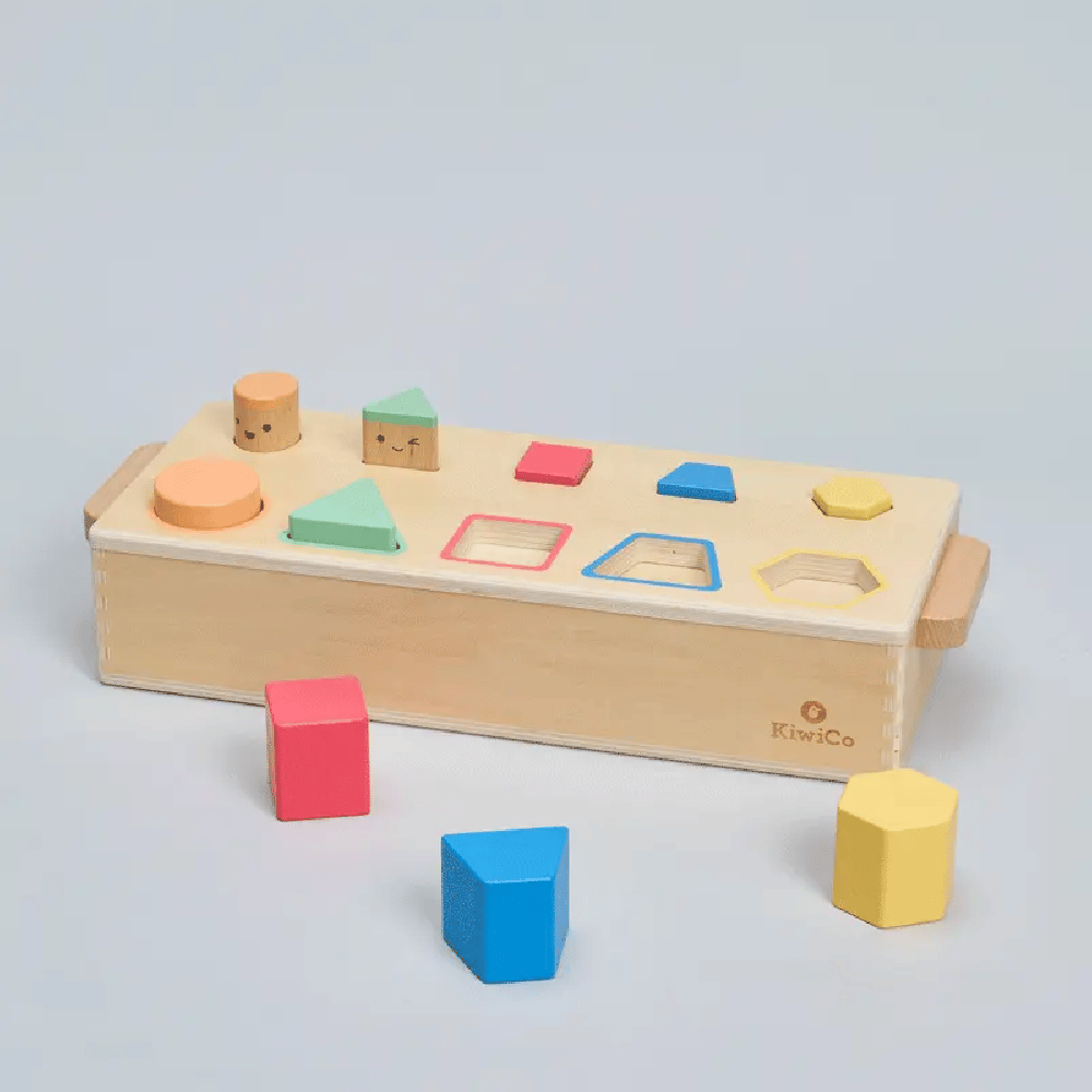 Pop-Up Shape Sorter Puzzle