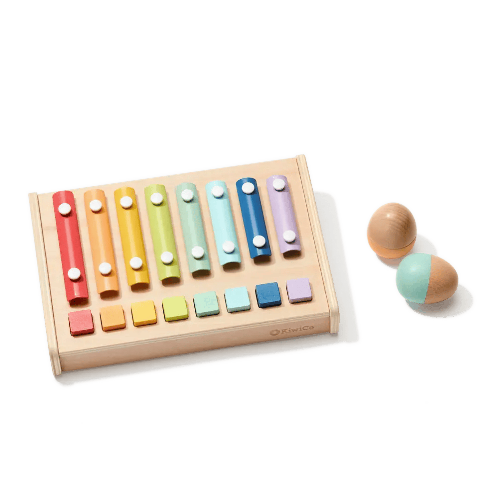 Piano Xylophone and Shaker Set 5 Piano Xylophone and Shaker Set